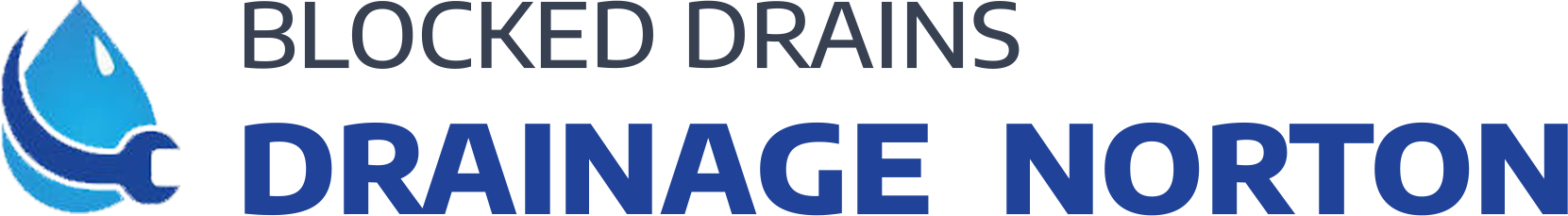 website logo